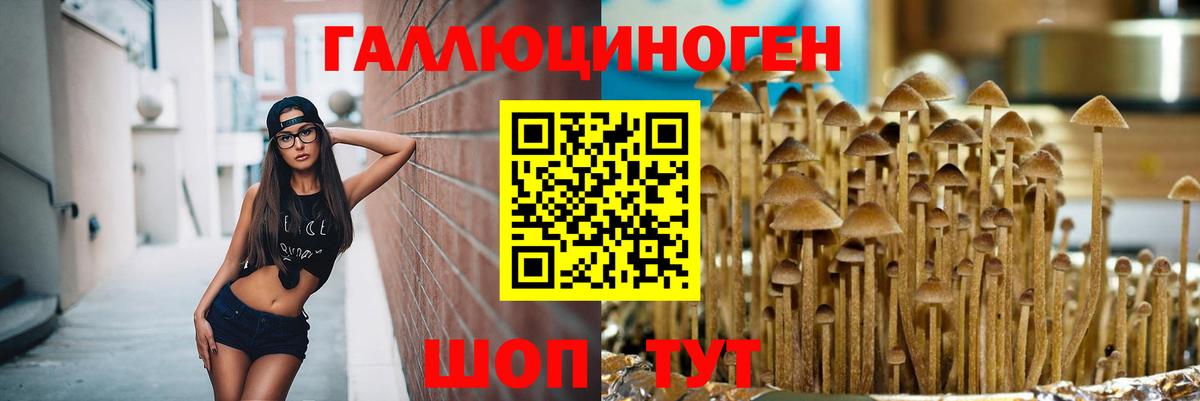 Псилоцибиновые грибы прущие грибы Унеча